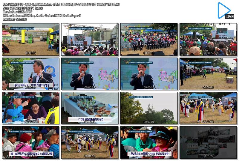 [서구 톡톡 48회] 20161014 제1회 한마음축제 정서진중앙시장 문화예술의 날 사진